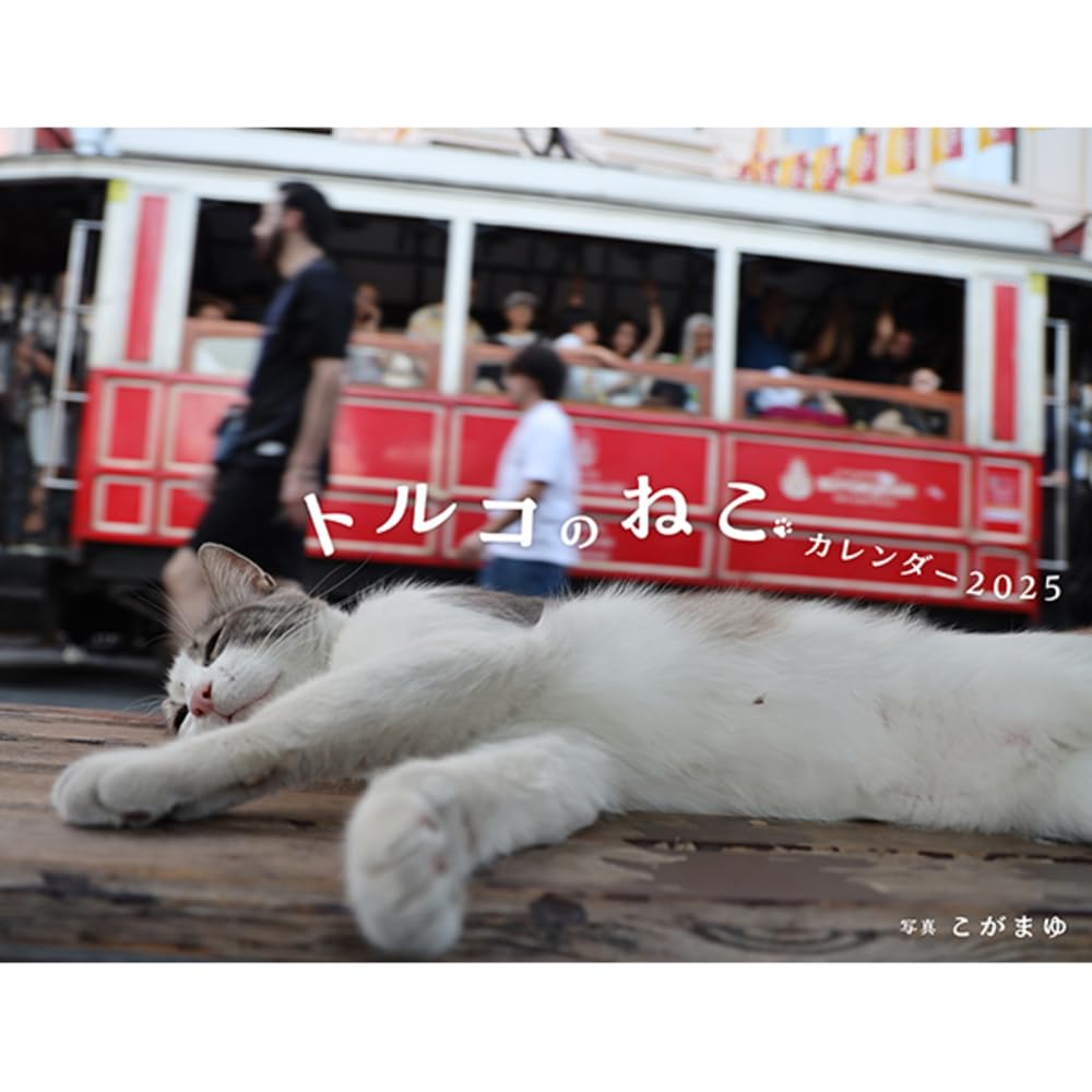 猫が教えてくれたこと('16トルコ)　Blu-ray　ブルーレイ Amazon.co.jp: 猫が教えてくれたこと Blu-ray : ドキュメンタリー映画